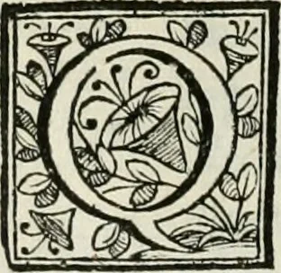 An illustration from D. Ioannis de Solorzano Pereira ... Emblemata centum, regio politica : Aeneis laminis affabre caelata, vividisque, et limatis carminibus explicita, & singularibus commentariis affatim illutrata : quibus, quicquid ad regum institutionem, et rectam reip. administrationem conducere, & pertinere videtur, summo studio disseritur ... cùm quadruplici indice absolutissimo ..., 1653, leaf 171