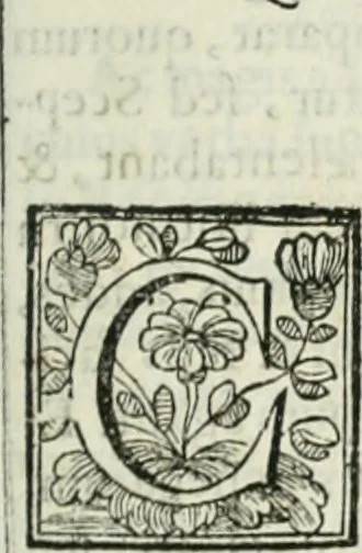 An illustration from D. Ioannis de Solorzano Pereira ... Emblemata centum, regio politica : Aeneis laminis affabre caelata, vividisque, et limatis carminibus explicita, & singularibus commentariis affatim illutrata : quibus, quicquid ad regum institutionem, et rectam reip. administrationem conducere, & pertinere videtur, summo studio disseritur ... cùm quadruplici indice absolutissimo ..., 1653, leaf 178