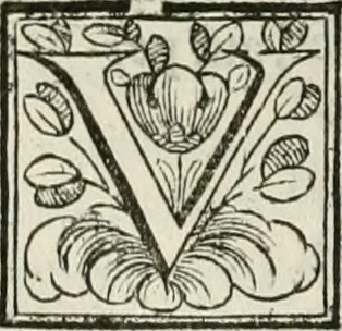 An illustration from D. Ioannis de Solorzano Pereira ... Emblemata centum, regio politica : Aeneis laminis affabre caelata, vividisque, et limatis carminibus explicita, & singularibus commentariis affatim illutrata : quibus, quicquid ad regum institutionem, et rectam reip. administrationem conducere, & pertinere videtur, summo studio disseritur ... cùm quadruplici indice absolutissimo ..., 1653, leaf 203