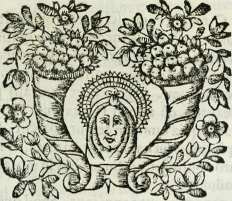 An illustration from D. Ioannis de Solorzano Pereira ... Emblemata centum, regio politica : Aeneis laminis affabre caelata, vividisque, et limatis carminibus explicita, & singularibus commentariis affatim illutrata : quibus, quicquid ad regum institutionem, et rectam reip. administrationem conducere, & pertinere videtur, summo studio disseritur ... cùm quadruplici indice absolutissimo ..., 1653, leaf 208