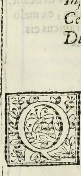An illustration from D. Ioannis de Solorzano Pereira ... Emblemata centum, regio politica : Aeneis laminis affabre caelata, vividisque, et limatis carminibus explicita, & singularibus commentariis affatim illutrata : quibus, quicquid ad regum institutionem, et rectam reip. administrationem conducere, & pertinere videtur, summo studio disseritur ... cùm quadruplici indice absolutissimo ..., 1653, leaf 209