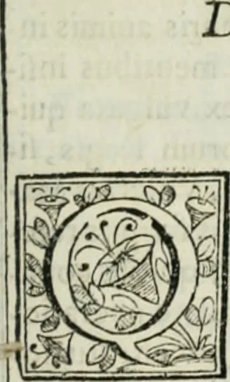 An illustration from D. Ioannis de Solorzano Pereira ... Emblemata centum, regio politica : Aeneis laminis affabre caelata, vividisque, et limatis carminibus explicita, & singularibus commentariis affatim illutrata : quibus, quicquid ad regum institutionem, et rectam reip. administrationem conducere, & pertinere videtur, summo studio disseritur ... cùm quadruplici indice absolutissimo ..., 1653, leaf 220