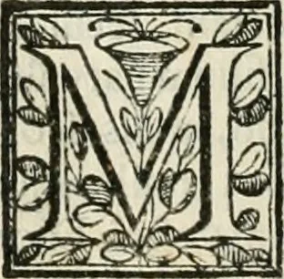 An illustration from D. Ioannis de Solorzano Pereira ... Emblemata centum, regio politica : Aeneis laminis affabre caelata, vividisque, et limatis carminibus explicita, & singularibus commentariis affatim illutrata : quibus, quicquid ad regum institutionem, et rectam reip. administrationem conducere, & pertinere videtur, summo studio disseritur ... cùm quadruplici indice absolutissimo ..., 1653, leaf 229