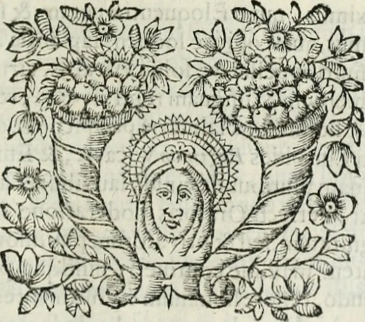 An illustration from D. Ioannis de Solorzano Pereira ... Emblemata centum, regio politica : Aeneis laminis affabre caelata, vividisque, et limatis carminibus explicita, & singularibus commentariis affatim illutrata : quibus, quicquid ad regum institutionem, et rectam reip. administrationem conducere, & pertinere videtur, summo studio disseritur ... cùm quadruplici indice absolutissimo ..., 1653, leaf 242