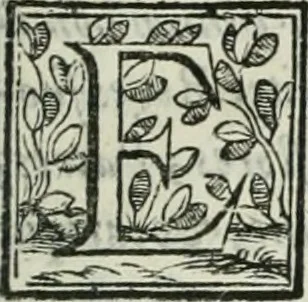 An illustration from D. Ioannis de Solorzano Pereira ... Emblemata centum, regio politica : Aeneis laminis affabre caelata, vividisque, et limatis carminibus explicita, & singularibus commentariis affatim illutrata : quibus, quicquid ad regum institutionem, et rectam reip. administrationem conducere, & pertinere videtur, summo studio disseritur ... cùm quadruplici indice absolutissimo ..., 1653, leaf 26