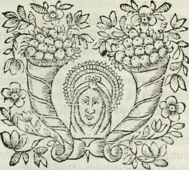 An illustration from D. Ioannis de Solorzano Pereira ... Emblemata centum, regio politica : Aeneis laminis affabre caelata, vividisque, et limatis carminibus explicita, & singularibus commentariis affatim illutrata : quibus, quicquid ad regum institutionem, et rectam reip. administrationem conducere, & pertinere videtur, summo studio disseritur ... cùm quadruplici indice absolutissimo ..., 1653, leaf 282
