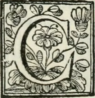 An illustration from D. Ioannis de Solorzano Pereira ... Emblemata centum, regio politica : Aeneis laminis affabre caelata, vividisque, et limatis carminibus explicita, & singularibus commentariis affatim illutrata : quibus, quicquid ad regum institutionem, et rectam reip. administrationem conducere, & pertinere videtur, summo studio disseritur ... cùm quadruplici indice absolutissimo ..., 1653, leaf 289