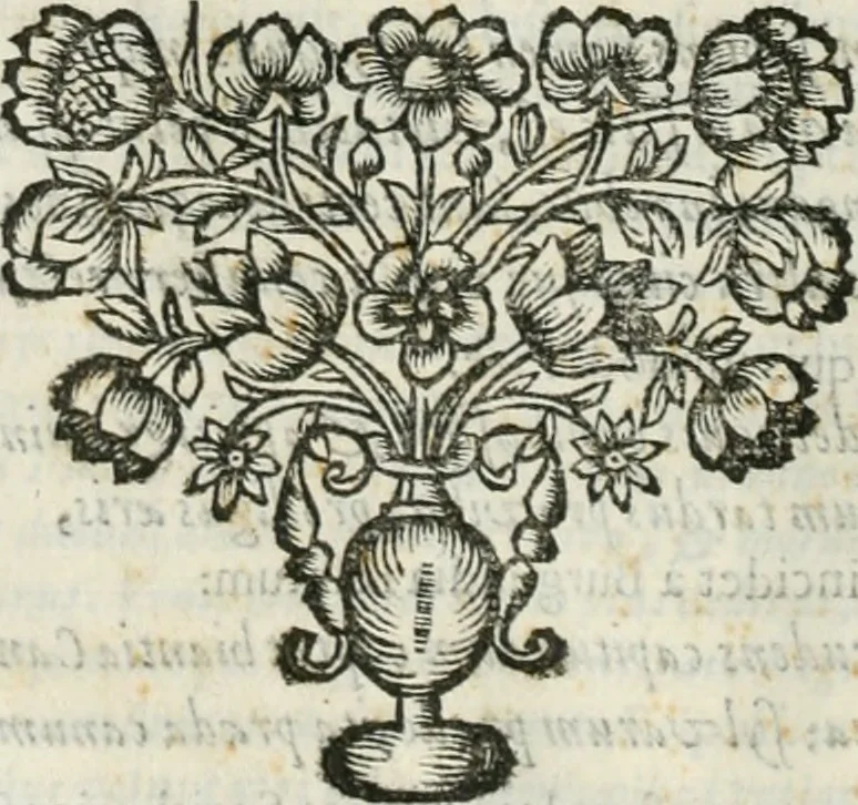 An illustration from D. Ioannis de Solorzano Pereira ... Emblemata centum, regio politica : Aeneis laminis affabre caelata, vividisque, et limatis carminibus explicita, & singularibus commentariis affatim illutrata : quibus, quicquid ad regum institutionem, et rectam reip. administrationem conducere, & pertinere videtur, summo studio disseritur ... cùm quadruplici indice absolutissimo ..., 1653, leaf 295