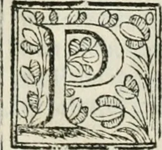 An illustration from D. Ioannis de Solorzano Pereira ... Emblemata centum, regio politica : Aeneis laminis affabre caelata, vividisque, et limatis carminibus explicita, & singularibus commentariis affatim illutrata : quibus, quicquid ad regum institutionem, et rectam reip. administrationem conducere, & pertinere videtur, summo studio disseritur ... cùm quadruplici indice absolutissimo ..., 1653, leaf 305