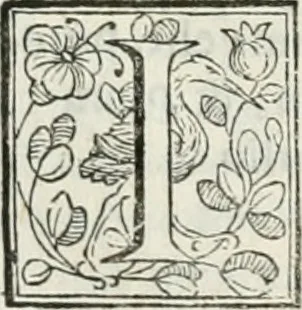 An illustration from D. Ioannis de Solorzano Pereira ... Emblemata centum, regio politica : Aeneis laminis affabre caelata, vividisque, et limatis carminibus explicita, & singularibus commentariis affatim illutrata : quibus, quicquid ad regum institutionem, et rectam reip. administrationem conducere, & pertinere videtur, summo studio disseritur ... cùm quadruplici indice absolutissimo ..., 1653, leaf 433