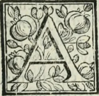 An illustration from D. Ioannis de Solorzano Pereira ... Emblemata centum, regio politica : Aeneis laminis affabre caelata, vividisque, et limatis carminibus explicita, & singularibus commentariis affatim illutrata : quibus, quicquid ad regum institutionem, et rectam reip. administrationem conducere, & pertinere videtur, summo studio disseritur ... cùm quadruplici indice absolutissimo ..., 1653, leaf 44