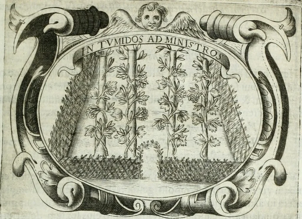 An illustration from D. Ioannis de Solorzano Pereira ... Emblemata centum, regio politica : Aeneis laminis affabre caelata, vividisque, et limatis carminibus explicita, & singularibus commentariis affatim illutrata : quibus, quicquid ad regum institutionem, et rectam reip. administrationem conducere, & pertinere videtur, summo studio disseritur ... cùm quadruplici indice absolutissimo ..., 1653, leaf 504