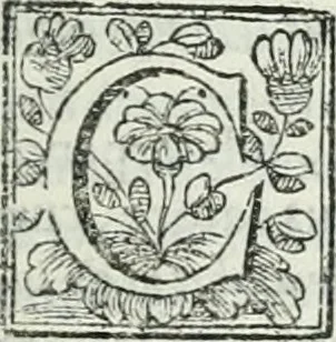 An illustration from D. Ioannis de Solorzano Pereira ... Emblemata centum, regio politica : Aeneis laminis affabre caelata, vividisque, et limatis carminibus explicita, & singularibus commentariis affatim illutrata : quibus, quicquid ad regum institutionem, et rectam reip. administrationem conducere, & pertinere videtur, summo studio disseritur ... cùm quadruplici indice absolutissimo ..., 1653, leaf 504