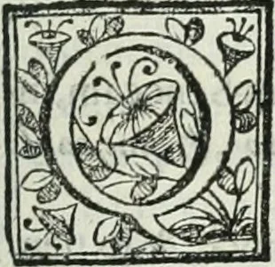 An illustration from D. Ioannis de Solorzano Pereira ... Emblemata centum, regio politica : Aeneis laminis affabre caelata, vividisque, et limatis carminibus explicita, & singularibus commentariis affatim illutrata : quibus, quicquid ad regum institutionem, et rectam reip. administrationem conducere, & pertinere videtur, summo studio disseritur ... cùm quadruplici indice absolutissimo ..., 1653, leaf 512