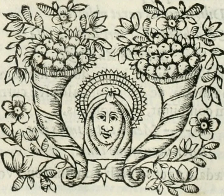 An illustration from D. Ioannis de Solorzano Pereira ... Emblemata centum, regio politica : Aeneis laminis affabre caelata, vividisque, et limatis carminibus explicita, & singularibus commentariis affatim illutrata : quibus, quicquid ad regum institutionem, et rectam reip. administrationem conducere, & pertinere videtur, summo studio disseritur ... cùm quadruplici indice absolutissimo ..., 1653, leaf 529