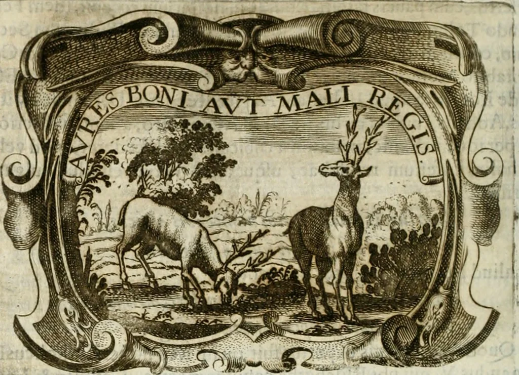 An illustration from D. Ioannis de Solorzano Pereira ... Emblemata centum, regio politica : Aeneis laminis affabre caelata, vividisque, et limatis carminibus explicita, & singularibus commentariis affatim illutrata : quibus, quicquid ad regum institutionem, et rectam reip. administrationem conducere, & pertinere videtur, summo studio disseritur ... cùm quadruplici indice absolutissimo ..., 1653, leaf 535