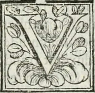 An illustration from D. Ioannis de Solorzano Pereira ... Emblemata centum, regio politica : Aeneis laminis affabre caelata, vividisque, et limatis carminibus explicita, & singularibus commentariis affatim illutrata : quibus, quicquid ad regum institutionem, et rectam reip. administrationem conducere, & pertinere videtur, summo studio disseritur ... cùm quadruplici indice absolutissimo ..., 1653, leaf 551