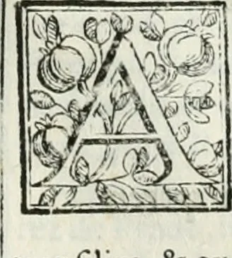 An illustration from D. Ioannis de Solorzano Pereira ... Emblemata centum, regio politica : Aeneis laminis affabre caelata, vividisque, et limatis carminibus explicita, & singularibus commentariis affatim illutrata : quibus, quicquid ad regum institutionem, et rectam reip. administrationem conducere, & pertinere videtur, summo studio disseritur ... cùm quadruplici indice absolutissimo ..., 1653, leaf 559
