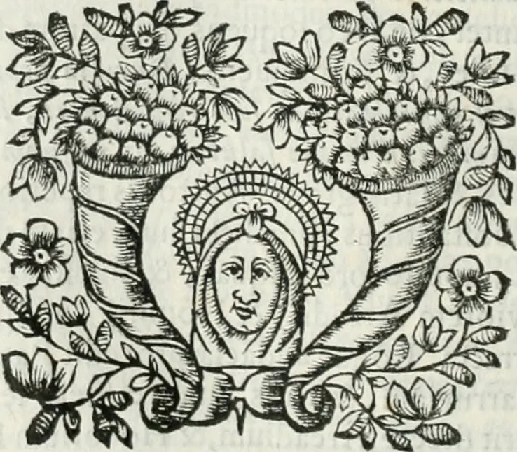 An illustration from D. Ioannis de Solorzano Pereira ... Emblemata centum, regio politica : Aeneis laminis affabre caelata, vividisque, et limatis carminibus explicita, & singularibus commentariis affatim illutrata : quibus, quicquid ad regum institutionem, et rectam reip. administrationem conducere, & pertinere videtur, summo studio disseritur ... cùm quadruplici indice absolutissimo ..., 1653, leaf 653