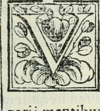 An illustration from D. Ioannis de Solorzano Pereira ... Emblemata centum, regio politica : Aeneis laminis affabre caelata, vividisque, et limatis carminibus explicita, & singularibus commentariis affatim illutrata : quibus, quicquid ad regum institutionem, et rectam reip. administrationem conducere, & pertinere videtur, summo studio disseritur ... cùm quadruplici indice absolutissimo ..., 1653, leaf 670
