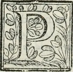 An illustration from D. Ioannis de Solorzano Pereira ... Emblemata centum, regio politica : Aeneis laminis affabre caelata, vividisque, et limatis carminibus explicita, & singularibus commentariis affatim illutrata : quibus, quicquid ad regum institutionem, et rectam reip. administrationem conducere, & pertinere videtur, summo studio disseritur ... cùm quadruplici indice absolutissimo ..., 1653, leaf 75