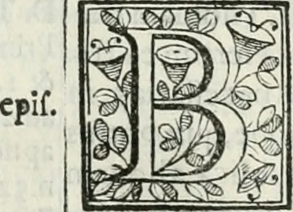 An illustration from D. Ioannis de Solorzano Pereira ... Emblemata centum, regio politica : Aeneis laminis affabre caelata, vividisque, et limatis carminibus explicita, & singularibus commentariis affatim illutrata : quibus, quicquid ad regum institutionem, et rectam reip. administrationem conducere, & pertinere videtur, summo studio disseritur ... cùm quadruplici indice absolutissimo ..., 1653, leaf 769