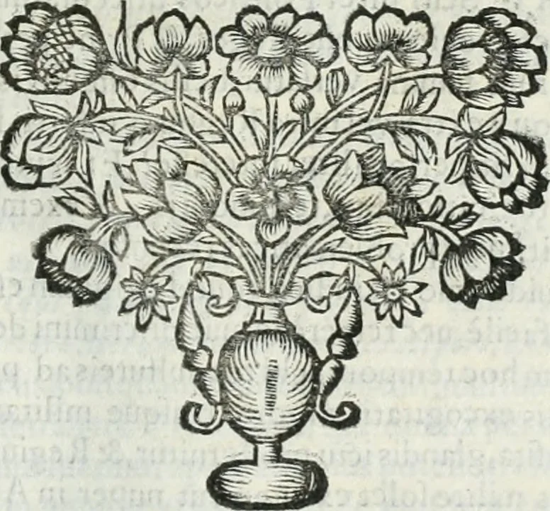 An illustration from D. Ioannis de Solorzano Pereira ... Emblemata centum, regio politica : Aeneis laminis affabre caelata, vividisque, et limatis carminibus explicita, & singularibus commentariis affatim illutrata : quibus, quicquid ad regum institutionem, et rectam reip. administrationem conducere, & pertinere videtur, summo studio disseritur ... cùm quadruplici indice absolutissimo ..., 1653, leaf 820