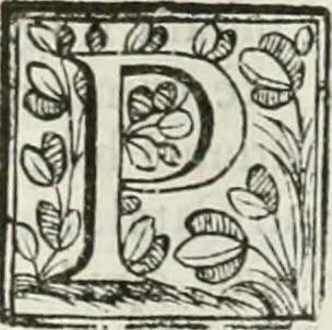 An illustration from D. Ioannis de Solorzano Pereira ... Emblemata centum, regio politica : Aeneis laminis affabre caelata, vividisque, et limatis carminibus explicita, & singularibus commentariis affatim illutrata : quibus, quicquid ad regum institutionem, et rectam reip. administrationem conducere, & pertinere videtur, summo studio disseritur ... cùm quadruplici indice absolutissimo ..., 1653, leaf 829