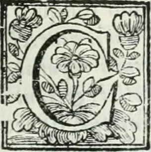 An illustration from D. Ioannis de Solorzano Pereira ... Emblemata centum, regio politica : Aeneis laminis affabre caelata, vividisque, et limatis carminibus explicita, & singularibus commentariis affatim illutrata : quibus, quicquid ad regum institutionem, et rectam reip. administrationem conducere, & pertinere videtur, summo studio disseritur ... cùm quadruplici indice absolutissimo ..., 1653, leaf 838