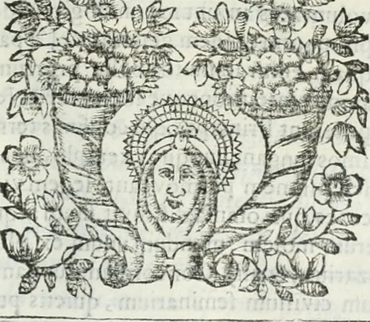 An illustration from D. Ioannis de Solorzano Pereira ... Emblemata centum, regio politica : Aeneis laminis affabre caelata, vividisque, et limatis carminibus explicita, & singularibus commentariis affatim illutrata : quibus, quicquid ad regum institutionem, et rectam reip. administrationem conducere, & pertinere videtur, summo studio disseritur ... cùm quadruplici indice absolutissimo ..., 1653, leaf 844