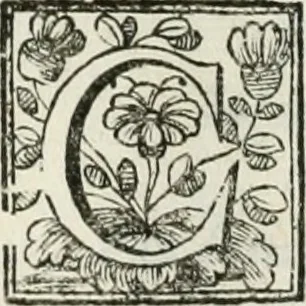 An illustration from D. Ioannis de Solorzano Pereira ... Emblemata centum, regio politica : Aeneis laminis affabre caelata, vividisque, et limatis carminibus explicita, & singularibus commentariis affatim illutrata : quibus, quicquid ad regum institutionem, et rectam reip. administrationem conducere, & pertinere videtur, summo studio disseritur ... cùm quadruplici indice absolutissimo ..., 1653, leaf 845