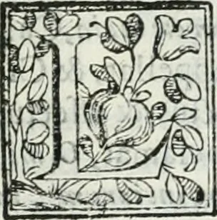 An illustration from D. Ioannis de Solorzano Pereira ... Emblemata centum, regio politica : Aeneis laminis affabre caelata, vividisque, et limatis carminibus explicita, & singularibus commentariis affatim illutrata : quibus, quicquid ad regum institutionem, et rectam reip. administrationem conducere, & pertinere videtur, summo studio disseritur ... cùm quadruplici indice absolutissimo ..., 1653, leaf 864