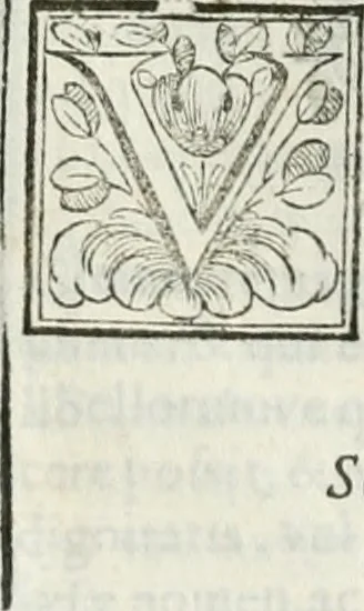 An illustration from D. Ioannis de Solorzano Pereira ... Emblemata centum, regio politica : Aeneis laminis affabre caelata, vividisque, et limatis carminibus explicita, & singularibus commentariis affatim illutrata : quibus, quicquid ad regum institutionem, et rectam reip. administrationem conducere, & pertinere videtur, summo studio disseritur ... cùm quadruplici indice absolutissimo ..., 1653, leaf 873