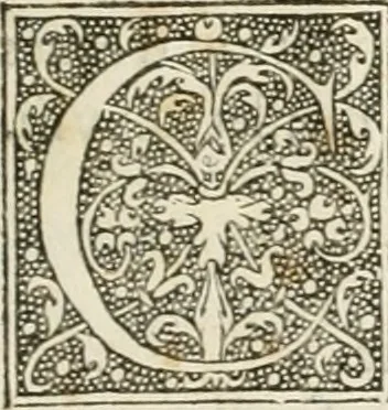 An illustration from Dion historien grec, Des faictz & gestes insignes des Romains : redvictz par annalles et consulatz, commençant au consulat de Lucius Cotta & Lucius Torquatus ..., 1542, leaf 12