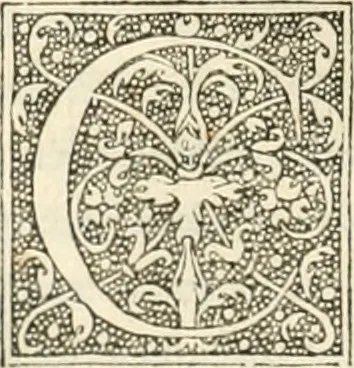 An illustration from Dion historien grec, Des faictz & gestes insignes des Romains : redvictz par annalles et consulatz, commençant au consulat de Lucius Cotta & Lucius Torquatus ..., 1542, leaf 123