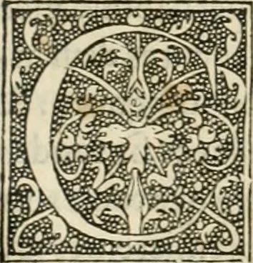 An illustration from Dion historien grec, Des faictz & gestes insignes des Romains : redvictz par annalles et consulatz, commençant au consulat de Lucius Cotta & Lucius Torquatus ..., 1542, leaf 198
