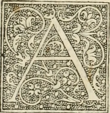 An illustration from Dion historien grec, Des faictz & gestes insignes des Romains : redvictz par annalles et consulatz, commençant au consulat de Lucius Cotta & Lucius Torquatus ..., 1542, leaf 222