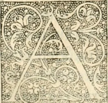 An illustration from Dion historien grec, Des faictz & gestes insignes des Romains : redvictz par annalles et consulatz, commençant au consulat de Lucius Cotta & Lucius Torquatus ..., 1542, leaf 415