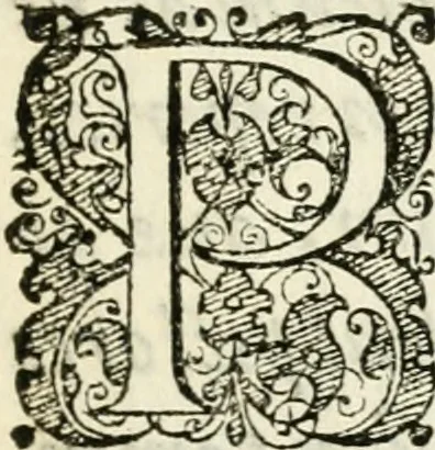 An illustration from Dionysii Lebei-Batillii regii mediomatricv praesidis Emblemata, 1596, leaf 10