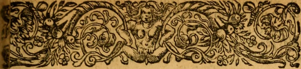 An illustration from Dionysiou Oikoumenes periegesis = Dionysii Orbis descriptio : commentario critico & geographico (in quo controversiae pleraeque quae in veteri geographia occurrunt explicantur, & obscura plurima elucidantur) ac tabulis illustrata, 1658, leaf 218