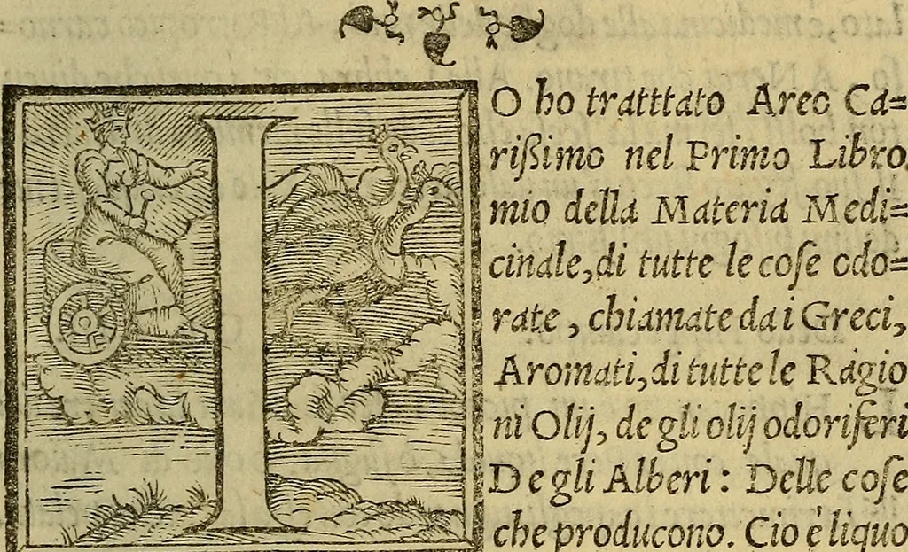An illustration from Dioscoride Anazarbeo della materia medicinale, 1547, leaf 132