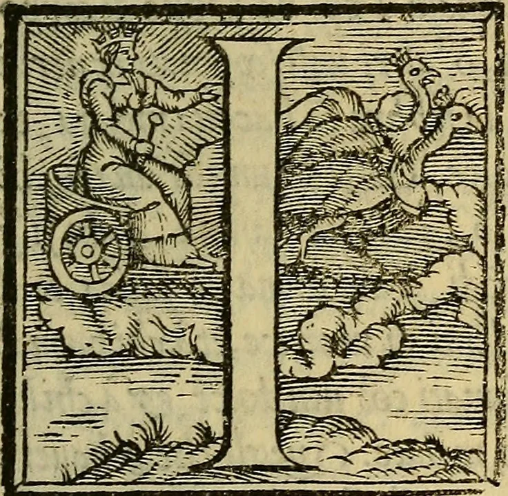 An illustration from Dioscoride Anazarbeo della materia medicinale, 1547, leaf 252