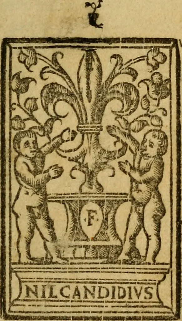 An illustration from Dioscoride Anazarbeo della materia medicinale, 1547, leaf 4