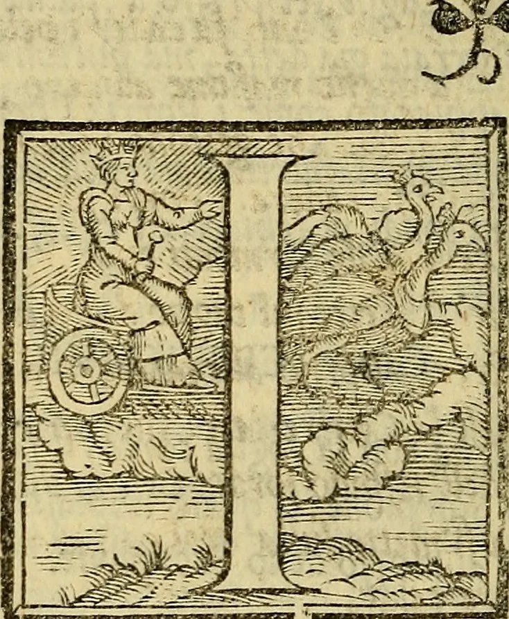 An illustration from Dioscoride Anazarbeo della materia medicinale, 1547, leaf 461