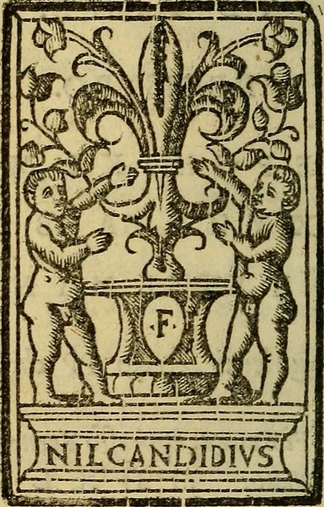 An illustration from Dioscoride Anazarbeo della materia medicinale, 1547, leaf 617