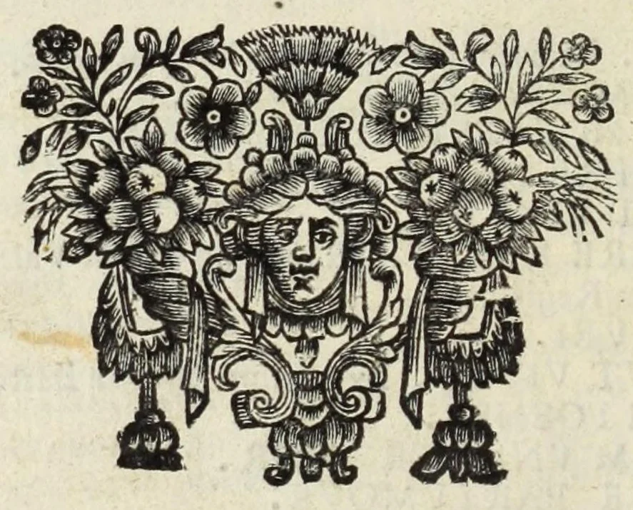 An illustration from Dios genethlia : Natalitia Iovis, in numismate imp. Antonini Caracallae expressa : epistola Caroli Patini, 1681, leaf 48