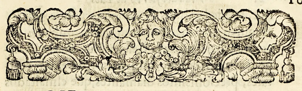 An illustration from Dios prodigioso en el Judio mas obstinado, en el penitenciado mas penitente, i en el mas ciego en errores, despues clarissimo en virtudes, el venerable hermano frai Antonio de S[an] Pedro, : religioso lego de el sacro, real, i militar orden de Mercenarios descalzos, redemprores [sic] de cautivos Christianos. Cuya admirabile vida, i su maravillosa reduccion del Judaismo à nuestra s[an]ta fè,, 1688, leaf 29