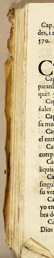 An illustration from Dios prodigioso en el Judio mas obstinado, en el penitenciado mas penitente, i en el mas ciego en errores, despues clarissimo en virtudes, el venerable hermano frai Antonio de S[an] Pedro, : religioso lego de el sacro, real, i militar orden de Mercenarios descalzos, redemprores [sic] de cautivos Christianos. Cuya admirabile vida, i su maravillosa reduccion del Judaismo à nuestra s[an]ta fè,, 1688, leaf 746