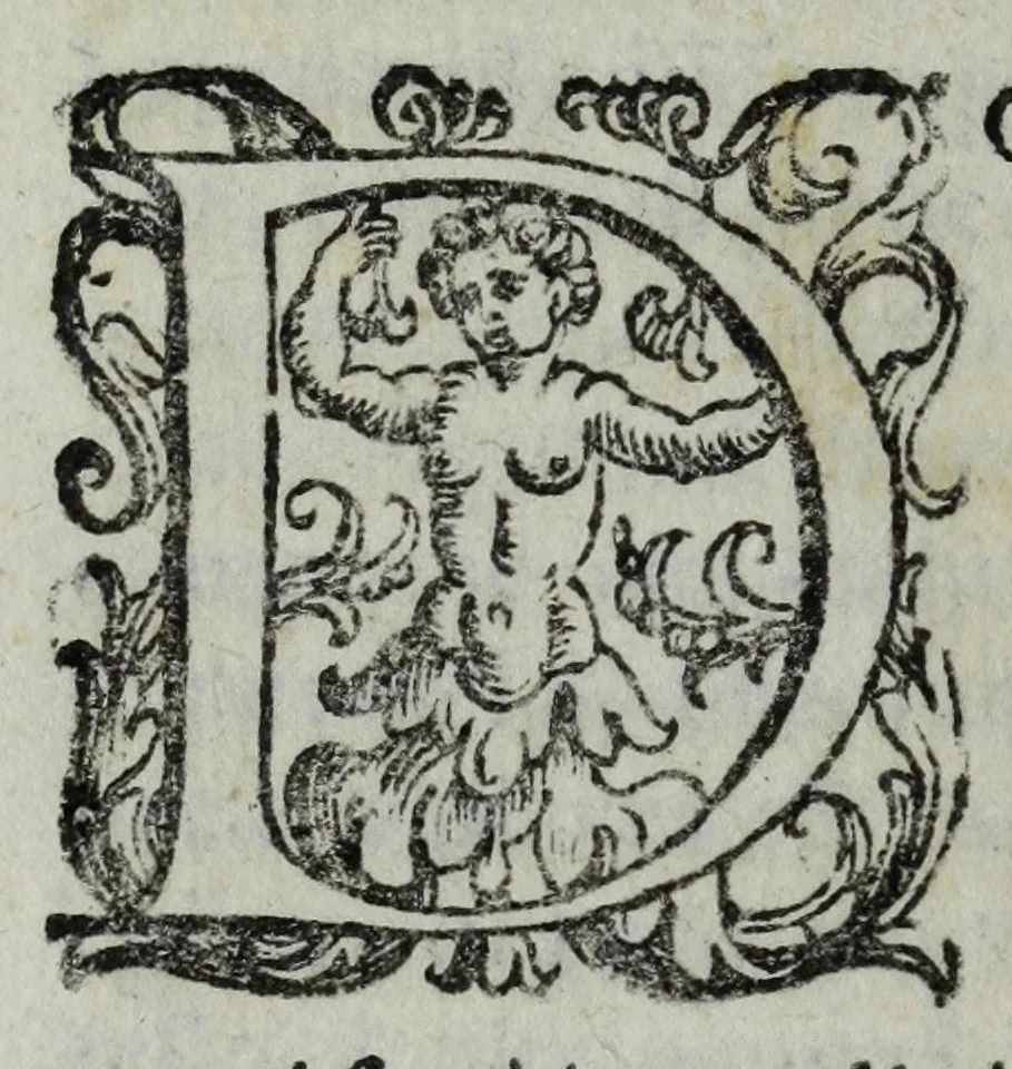 An illustration from Di Pompeo Vizani gentil'hvomo bolognese Diece libri delle historie della sva patria, 1596, leaf 238