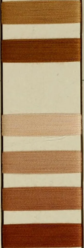 An illustration from Direct colors on cotton, 1900, leaf 34